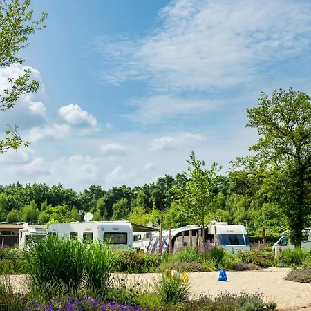 Stellplatz Basic 58 Mit Wasser, Abwasser, Strom Nach Bedarf