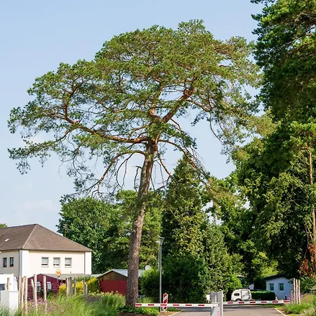 Stellplatz Basic 58 Mit Wasser, Abwasser, Strom Nach Bedarf